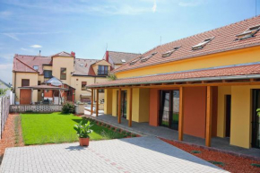 Отель Pension Čížek  Микулов